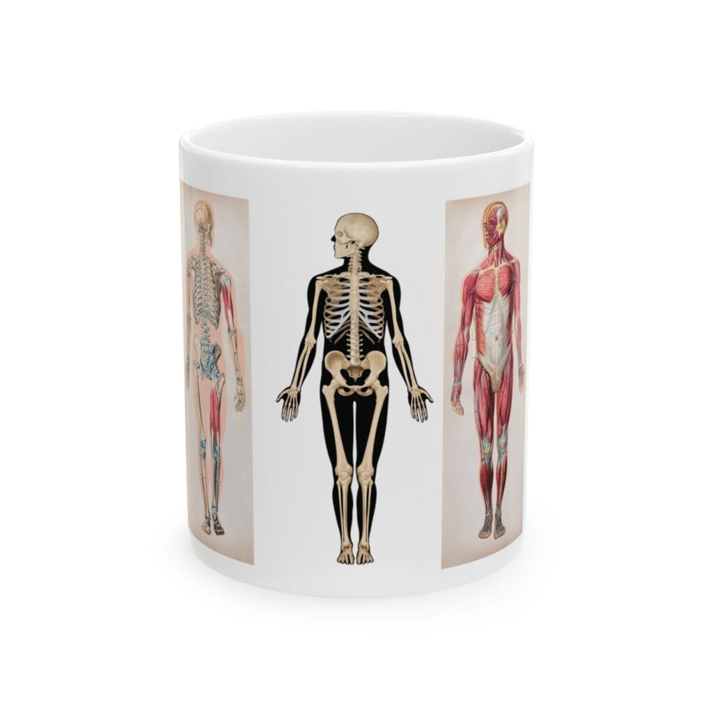 Anatomical Skeleton Ceramic Mug, Unique Anatomy Gift for Health Enthusiasts, Medical Professionals,Teachers,Anatomists,Nurse,Science Lovers