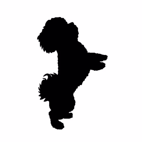 Bichon Frise Silhouette Svg Png.Bichon silhouette svg.Dog silhouette.Poodle svg.Bichon svg cut file.Puppy svg cut file.Bichon frise lover