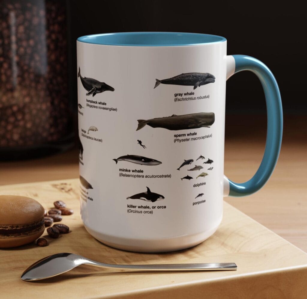 Cetaceans Identification Coffee Mug, Nature Lover Gift, Marine Biology Mug, Ocean Lover's Drinkware, Educational Coffee Cup,Unique Whale Art