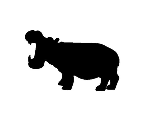 Hippo SVG PNG, Hippopotamus art Svg, Hippo Head Cricut, Safari Animal Svg, Hippo Cut File,Hippo Silhouette,Zoo svg Monogram.Instant Download