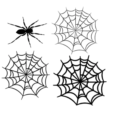 Spider web svg png.Spiderweb svg.Spider web tshirt.Spider web vinyl.Halloween spider web svg.Web vector.Insect svg.Halloween svg