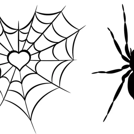 Spider web svg.Spider web heart svg png.Spiderweb svg.Spider web tshirt.Spider web vinyl.Halloween spider web svg.Web vector.Insect svg